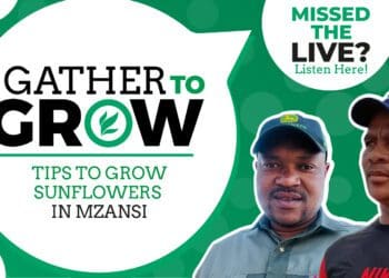 This week’s agriculture events: 12 to 16 September 2022