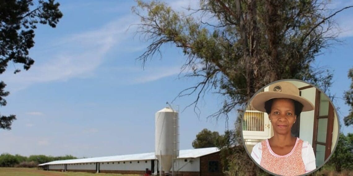 After decades working as an entrepreneur, Mary Mazibuko decided to do farming in her retirement. Photo: Supplied/Food for Mzansi