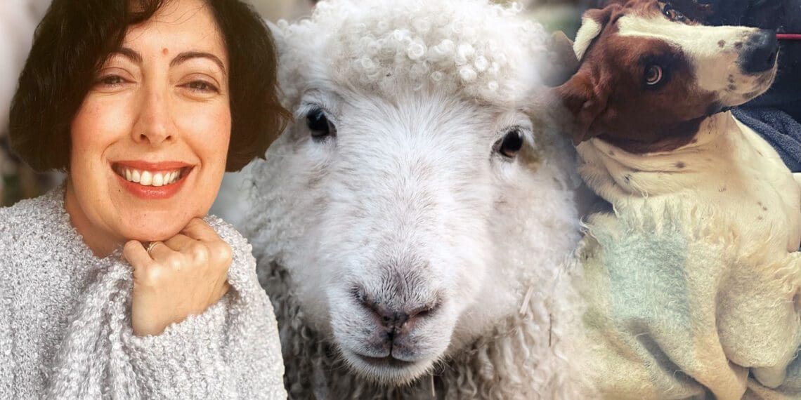 In this week’s edition of “Picking up the threads”, Hanli Fourie from Luminous Ware fame time travels to an era when was she swaddled in a fluffy mohair baby blanket her parents bought to celebrate her arrival. Photo: Supplied/Food For Mzansi