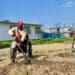 Gardening refreshes the mind and takes away stress, says Joshua Matshidiso, working from his wheelchair in his vegetable patch. Alongside him, Thembakazi Sotyantya irrigates seedlings. Photo: Peter Luhanga