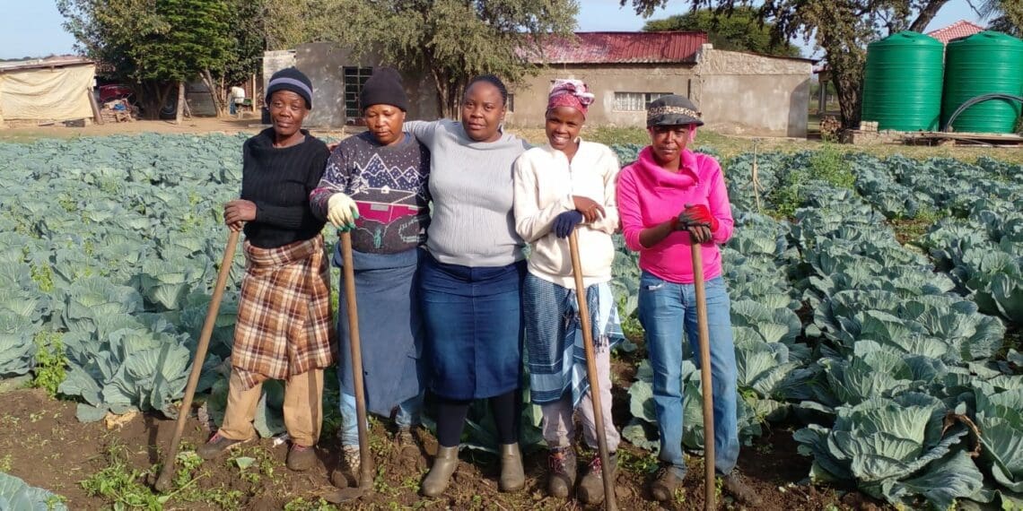 Kerotse Lekabe (middle) with her workers in Pella, North West, where she farms with vegetables on six hectares of land. Photo: Supplied/Food For Mzansi.