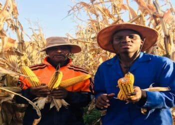 Nkosinathi Makamela is proud crop and livestock farmer who started his agribusiness with some of his NSFAS allowance savings. Photo: Supplied/Food For Mzansi