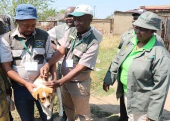 ICYMI: World Rabies Day: Agri depts go huge on vaccination