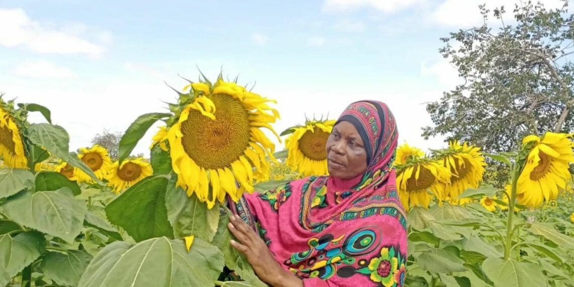 Support to improve women land ownership delivers life-changing benefits for women farmers in Tanzania, like Mariam Tungu, from Singida’s Ikungi district in central Tanzania. Photo: Supplied/FoodForAfrika.com