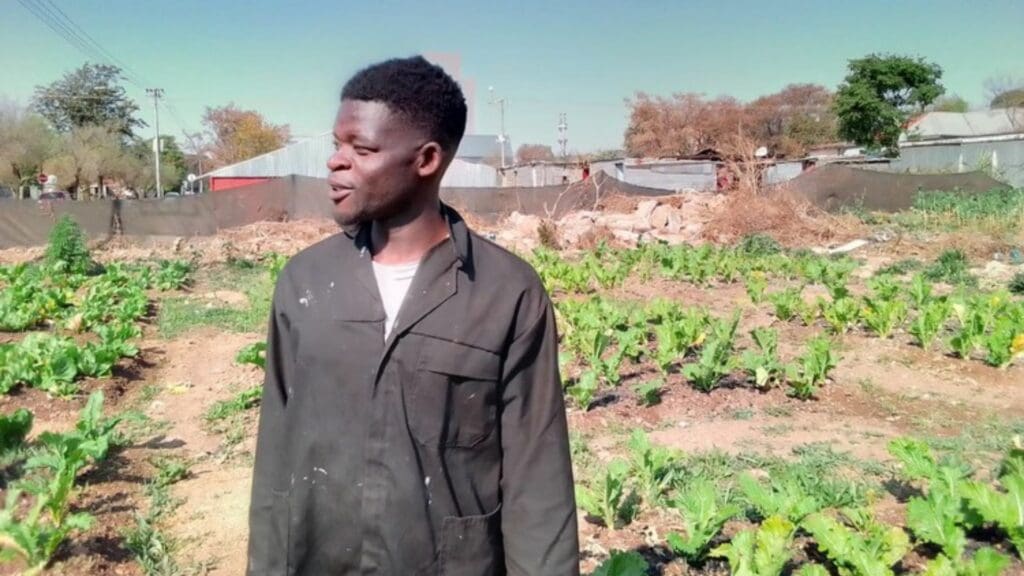 Gardener Eugene Govi says the spinach grown in the garden is popular in the community. Photo: Ezekiel Kekana