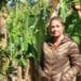 North Coast macadamia and banana farmer Tammy Williams. Photo: Supplied/Kwanalu