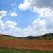 Ecological farming is a way of working with nature in agriculture, while increasing crop yields. Photo: Pixabay