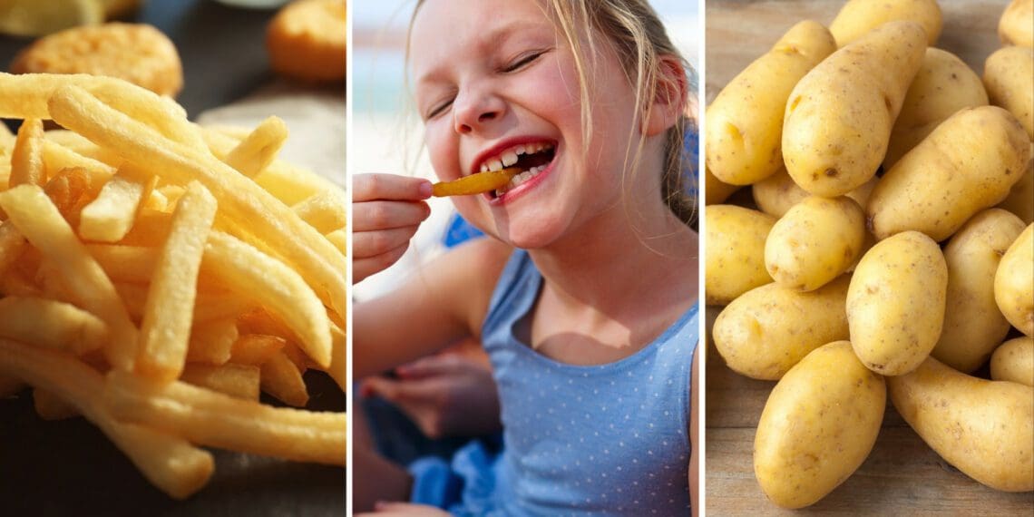 South Africa could do with more chip producers, role players in the industry say. Photo: Supplied/Food For Mzansi