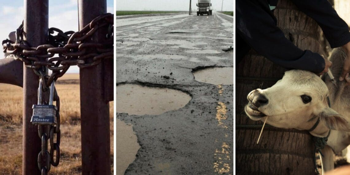The Free State has been hit by the worst of many farmer challenges, from crime to dilapidated roads to foot-and-mouth disease. Photo: Supplied/Food For Mzansi