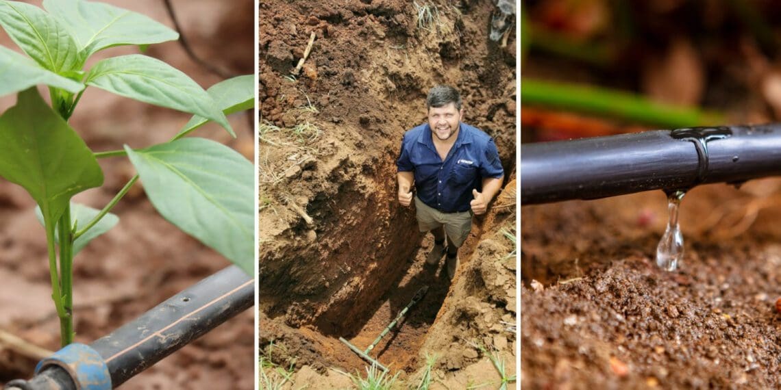 Netafim agronomist Jovan Erasmus explains how to determine the right amount of water to deliver to each plant. Photos: Supplied