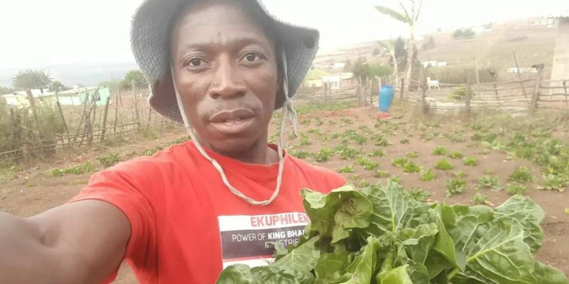 When Zethembe Shezi lost his job in the national lockdown, he started growing food he sells to villagers in Umkhomazi in KwaZulu-Natal. Photo: Supplied/Food For Mzansi