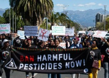 Farm women marched in Worcester in the Western Cape against the use of harmful pesticides. Photo: Liezl Human/GroundUp