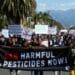 Farm women marched in Worcester in the Western Cape against the use of harmful pesticides. Photo: Liezl Human/GroundUp