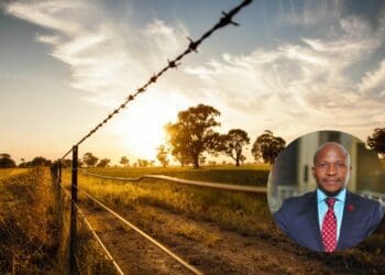 Finance for black farmers: Kgampi Bapela is the head of agro-processing and agriculture at the Industrial Development Corporation (IDC). Photo: Supplied/Food For Mzansi