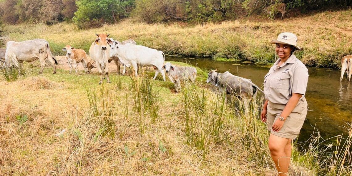 After the death of her father, Mmadipilo Letlape came close to selling their livestock and giving up on farming. Photo:Supplied/Mmadipilo Letlape