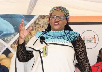 Wool production: Nonkqubela Pieters, the MEC for rural development and agrarian reform in the Eastern Cape. Photo: Supplied/Food For Mzansi