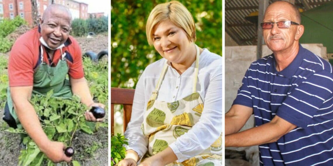 This year’s MyAHI Small-Scale Farmer of the Year finalists are Sitembele Dlutu, Ivan Cloete and Eugene Simons who was nominated along with her husband, Alan. Photos: Supplied/Food For Mzansi