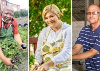 This year’s MyAHI Small-Scale Farmer of the Year finalists are Sitembele Dlutu, Ivan Cloete and Eugene Simons who was nominated along with her husband, Alan. Photos: Supplied/Food For Mzansi