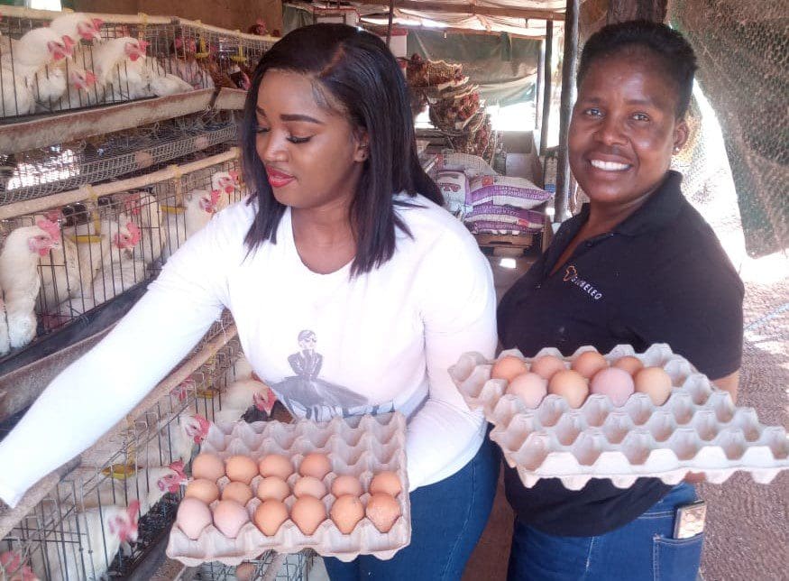 Since its inception in 2019, Masa Sunrise Farming has become a well-known egg supplier. Photo: Supplied/soutpansolar