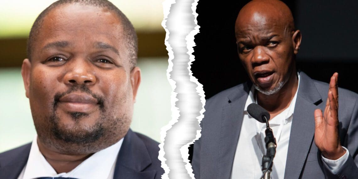 Sagra, Safda and Afasa: Dr Siyabonga Madlala, the chief executive of the South African Farmers’ Development Association (Safda), and AJ Mthembu, the president of the African Farmers’ Development Association (Afasa). Photos: Supplied/Food For Mzansi