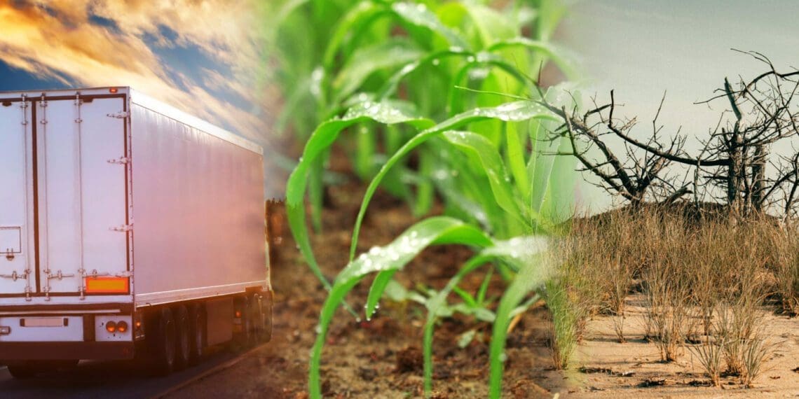 The Zimbabwean government has started paying out farm owners whose land was repossessed. Photo: Supplied/Food For Mzansi