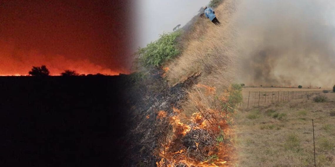 Raging fires driven by strong winds have destroyed more than 120 000 hectares of grazing land in the Northern Cape and North West. Photo:Supplied/FoodForMzansi