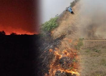 Raging fires driven by strong winds have destroyed more than 120 000 hectares of grazing land in the Northern Cape and North West. Photo:Supplied/FoodForMzansi
