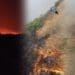 Raging fires driven by strong winds have destroyed more than 120 000 hectares of grazing land in the Northern Cape and North West. Photo:Supplied/FoodForMzansi