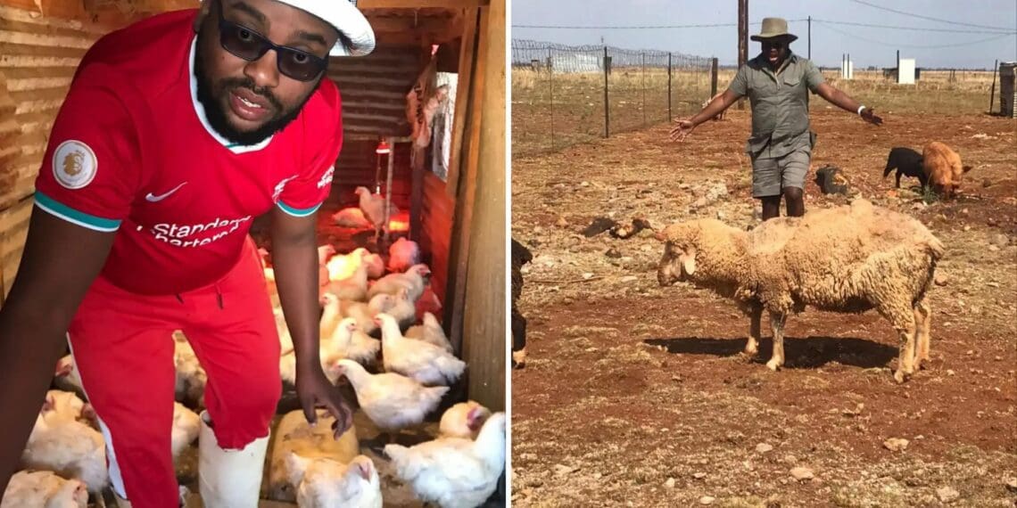 Ukusebenzisa amathuba kumsebenzele umfuyi waseNW