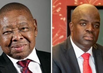 Dr Blade Nzimande, the minister of science and innovation, and AgriSETA chief executive Dr Innocent Sirovha. Photos: Supplied/Food For Mzansi