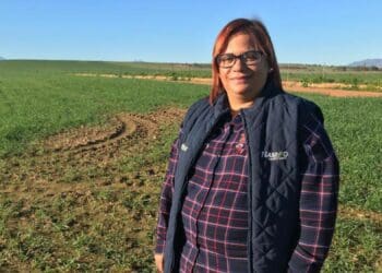 Alfreda Mars, an award-winning grain and sheep farmer. Photo: Food For Mzansi