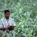 Cash flow projections: All farmers – especially those that are still considered small and up-and-coming – should learn how to budget, which will go a long way to make them bankable or within the risk parameters of financial institutions. Photo: Supplied/Food For Mzansi