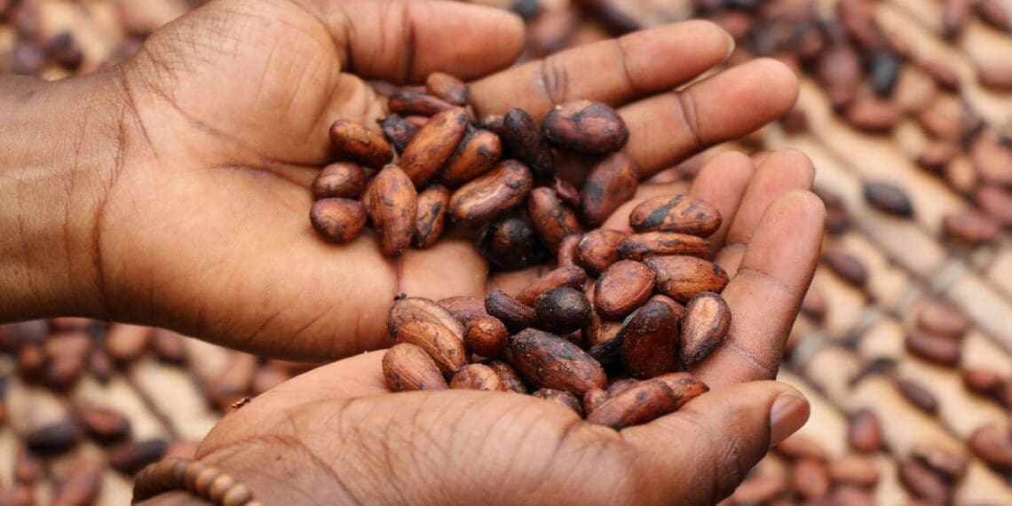 This weekend, Ghanian agripreneurs will showcase their organic and natural products at an expo in Johannesburg. Photo: Supplied/Unsplash
