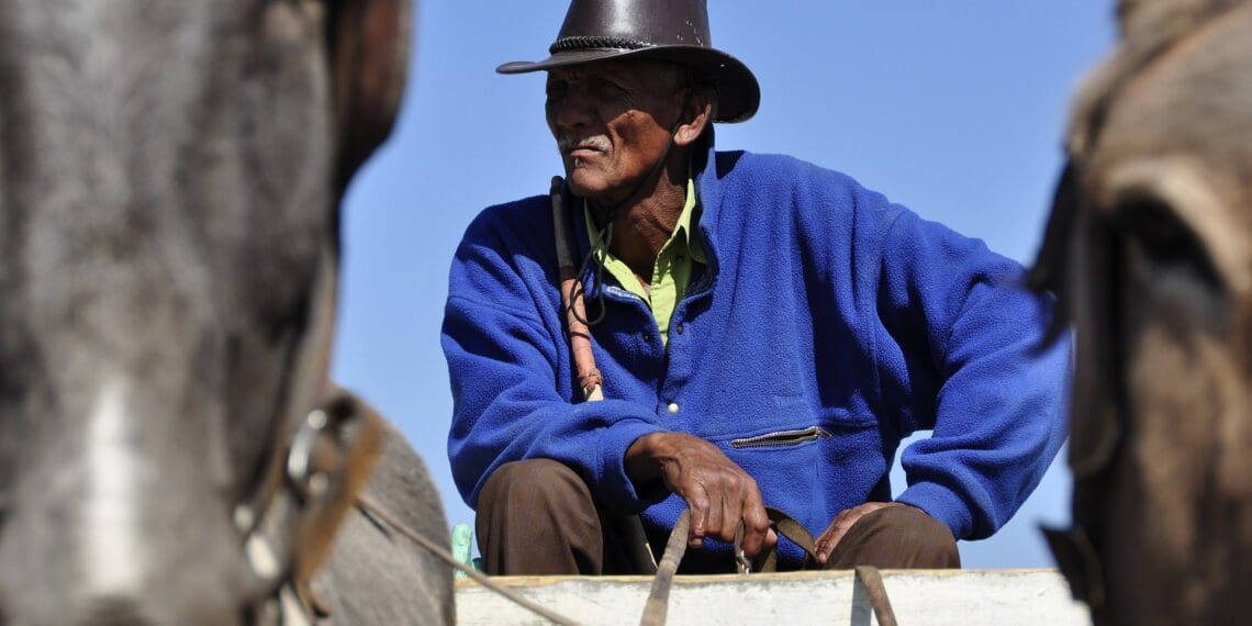 The latest Cop27 has been warned by AFSA to be mindful of small-scale farmers, as ignoring then could cripple African agriculture as a whole. Photo: Pixabay