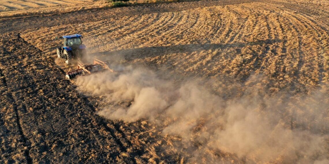 ICYMI: SA's winter crop season looking good