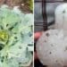Thabani Bhengu, farmer and owner of Ndela Farming lost thousands of his crops after a freak hailstorm battered his farm. Photo: Supplied/FoodForMzansi