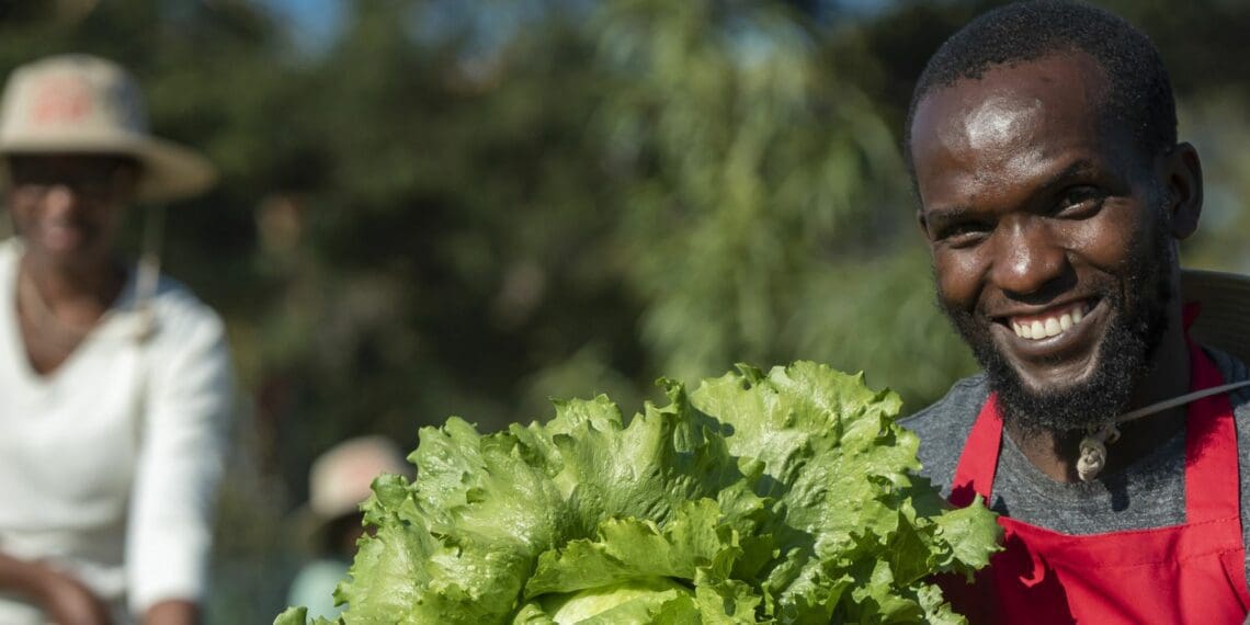 Sibusiso Tongeni, co-founder of LeanoAgri Food Garden in Marlboro, Gauteng. Photo: Supplied/Shoprite