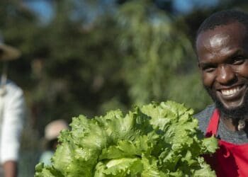 Sibusiso Tongeni, co-founder of LeanoAgri Food Garden in Marlboro, Gauteng. Photo: Supplied/Shoprite