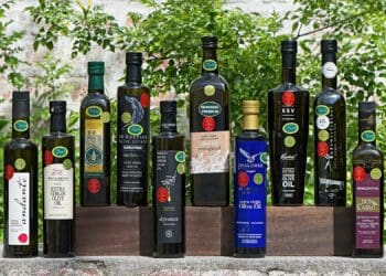 To receive an Absa Top 10 Olive Oil Award, the competition’s highest-scoring gold medal winners are entered into an additional round of blind judging. Photo: Supplied/Ventureburn