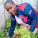 For Nomfundo, farming is ‘an act of kindness’