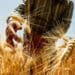 A bitter dispute between Sagra’s Free State district chairpersons and its national executive may end up in court. Sagra represents the interests of commercial black farmers in South Africa. Photo: Supplied/Food For Mzansi