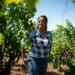A teach-the-learner principle is followed on a new e-learning platform for the wine industry launched by Winetech and Vinpro. Photo: Supplied/Food For Mzansi