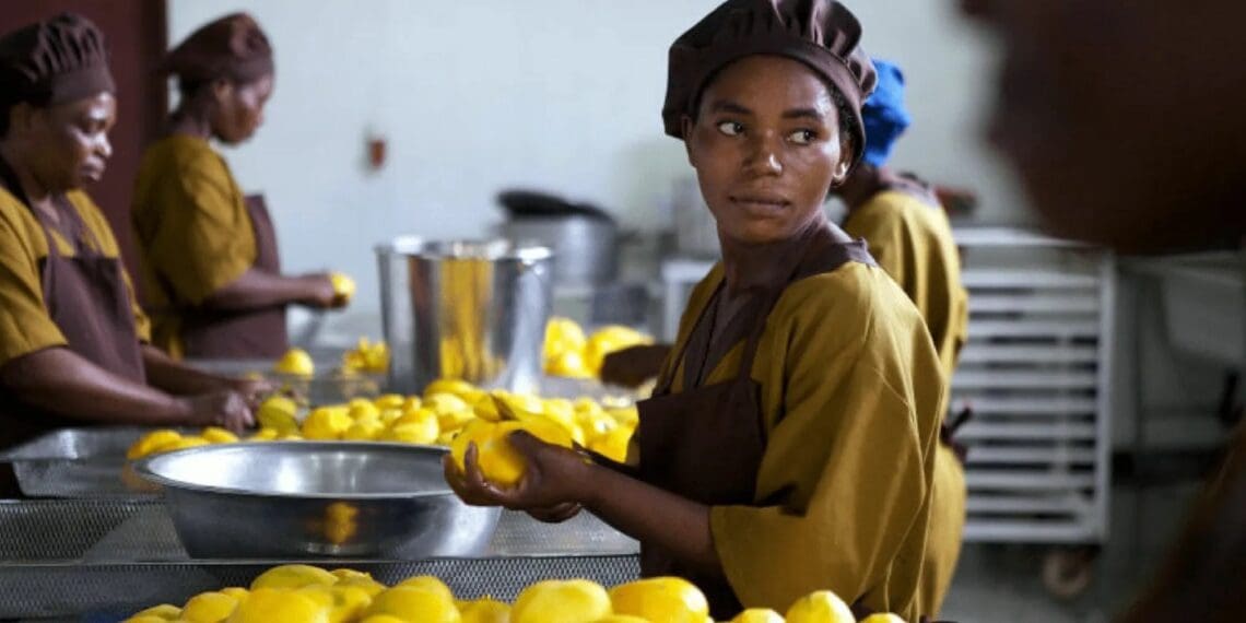 Debt funding: Earmarked for businesses in the agro-processing and manufacturing sectors, the funding is aimed at SMEs with a three-year track record, high growth potential and stable business strategies. Photo: Supplied/Ventureburn
