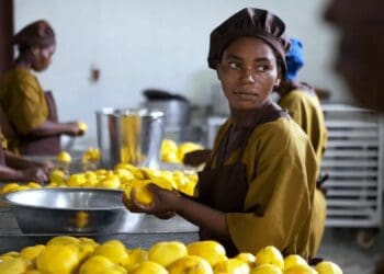 Debt funding: Earmarked for businesses in the agro-processing and manufacturing sectors, the funding is aimed at SMEs with a three-year track record, high growth potential and stable business strategies. Photo: Supplied/Ventureburn