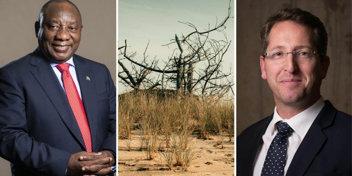 With the impact of climate change on agriculture currently a hot topic at Cop27, Cyril Ramaphosa has now added a “farmer’s voice” to the presidential climate commission – a move widely welcomed by the sector.