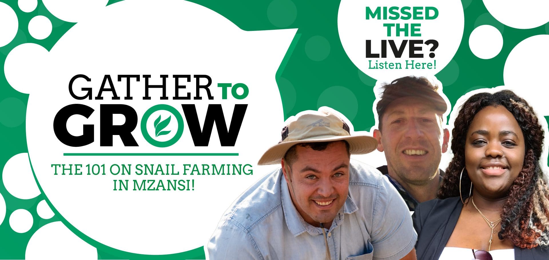 Farmer 101: Tips to farm with snails in Mzansi - Food For Mzansi