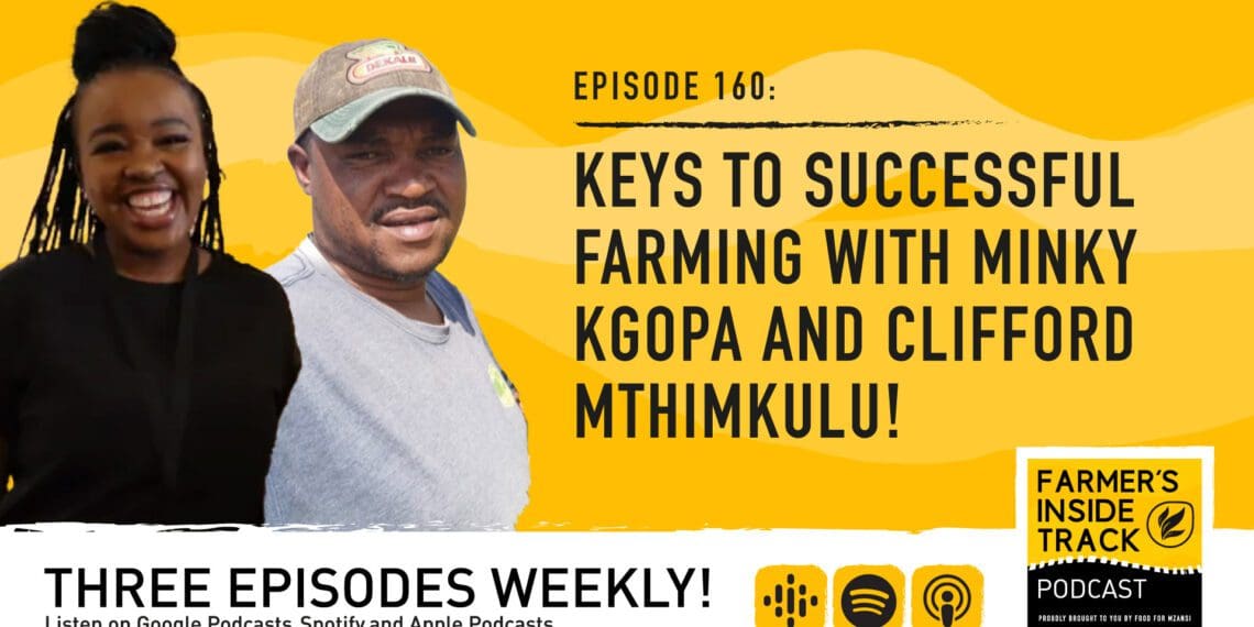 A deep desire to farm, being accountable and lifelong learning is exactly how Minky Kgopa and Clifford Mthimkulu are thriving in Mzansi’s agricultural sector. Photo: Supplied/FoodForMzansi