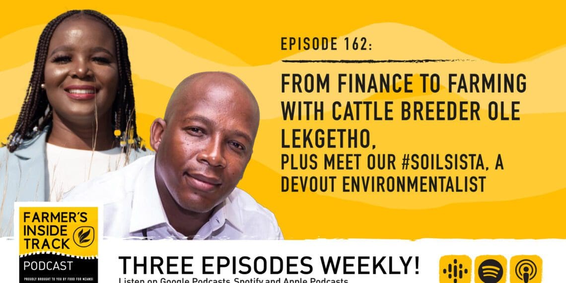 Olerile Lekgetho switched careers from auditing to cattle farming. He says the land kept calling and he heeded the call. Photo: Supplied/FoodForMzansi