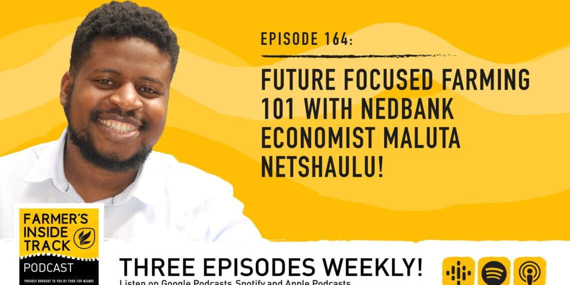 Podcast: Sustainability needs a future-focused approach