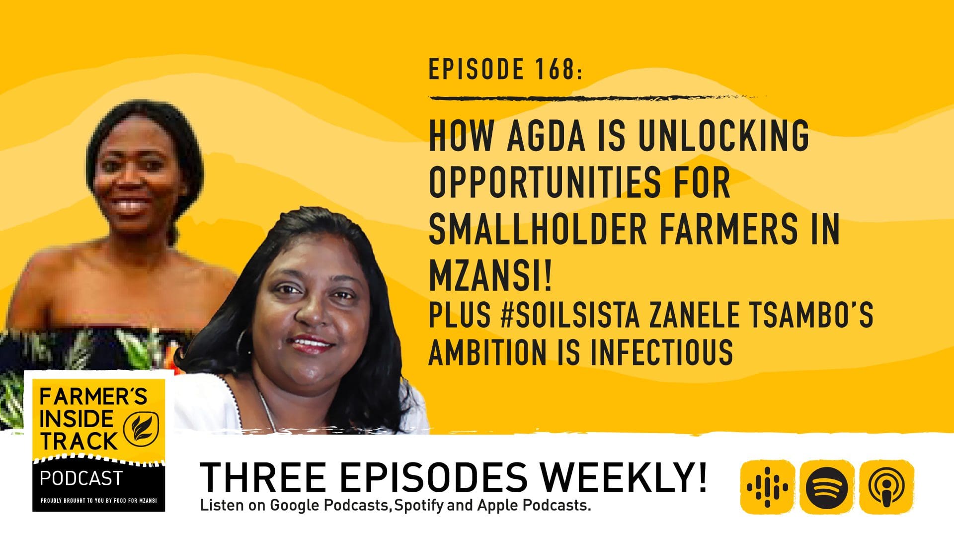 Podcast: Agda plots growth for all farmers - Food For Mzansi